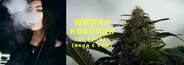 мяу мяу мука Пестово