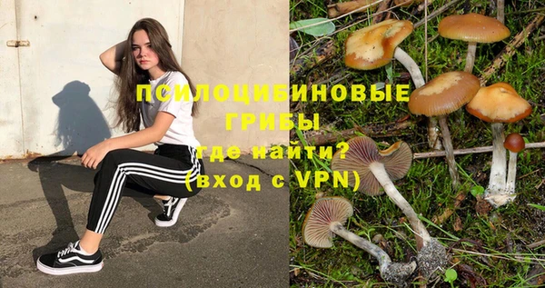 мяу мяу мука Пестово