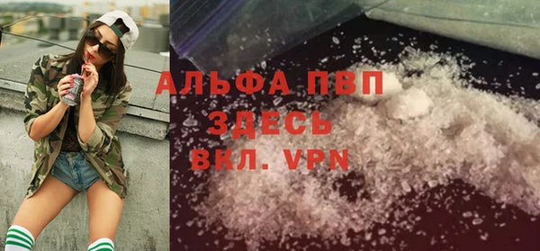 мяу мяу мука Пестово