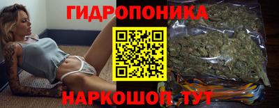 a pvp Обнинск