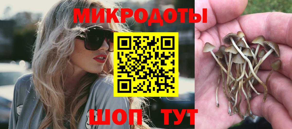 Псилоцибиновые грибы ЛСД Северобайкальск