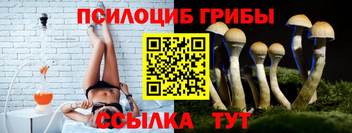 Северобайкальск  Псилоцибиновые грибы Psilocybine cubensis  Галлюциногенные грибы MAGIC MUSHROOMS  Вход с VPN 